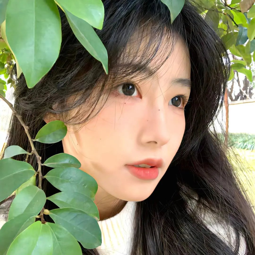 左轮百合